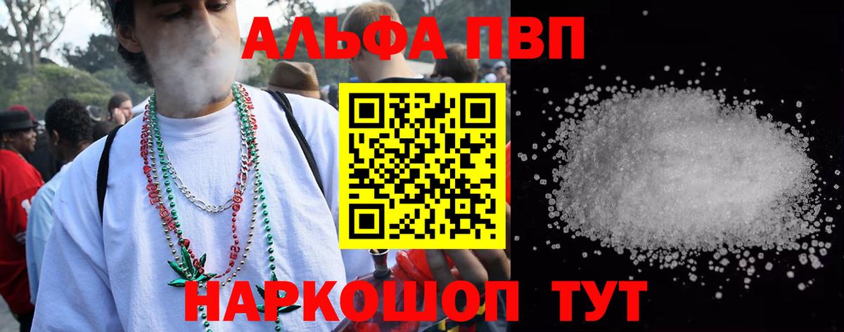 Альфа ПВП СК КРИС Белово