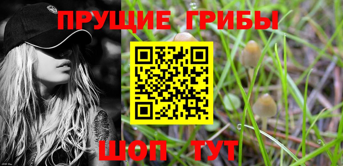 Псилоцибиновые грибы мухоморы Белово
