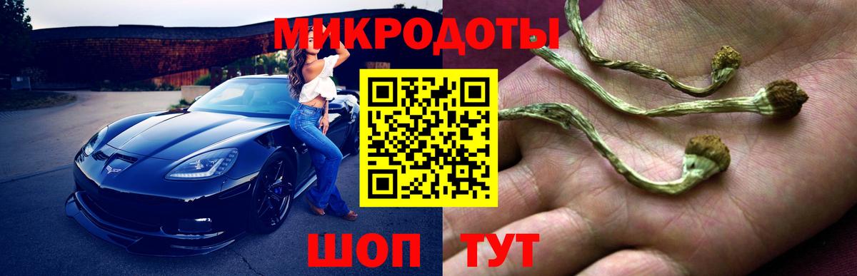 Галлюциногенные грибы мицелий  магазин продажи наркотиков  Белово  Псилоцибиновые грибы Cubensis  Вход с VPN 